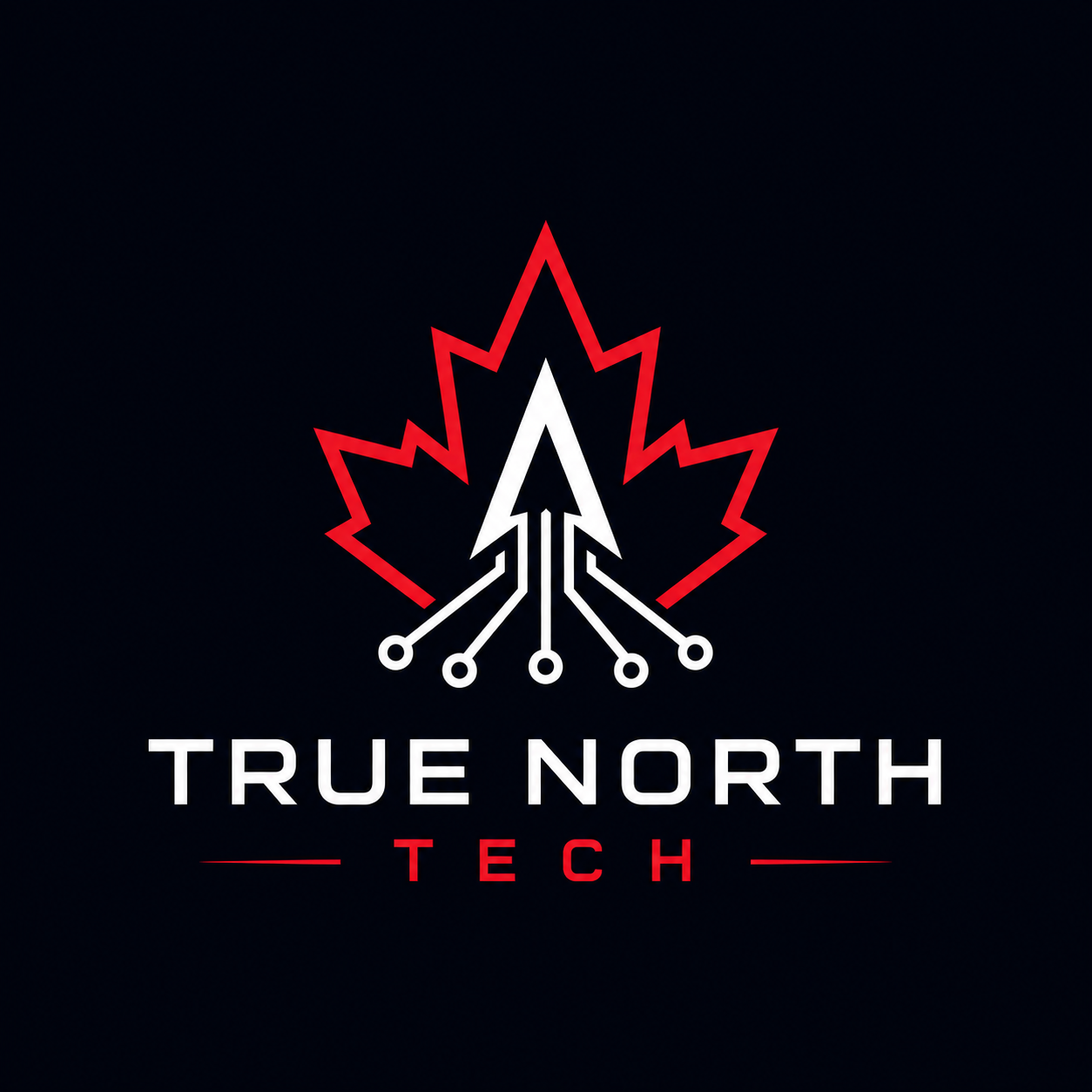 True North Tech logo